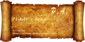 Pluhár Antal névjegykártya
